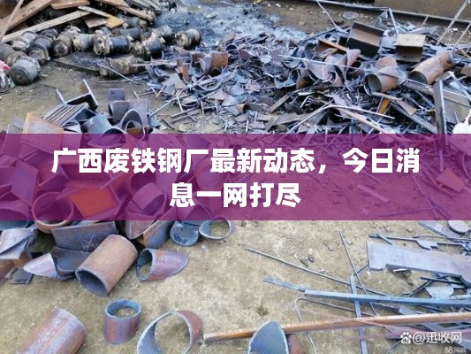2025年4月8日 第2页