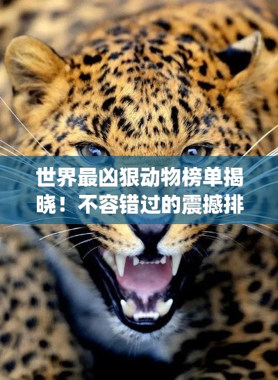 2025年4月11日 第2页