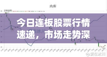 今日连板股票行情速递，市场走势深度分析与投资建议