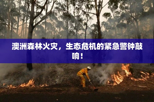 2025年4月15日 第2页