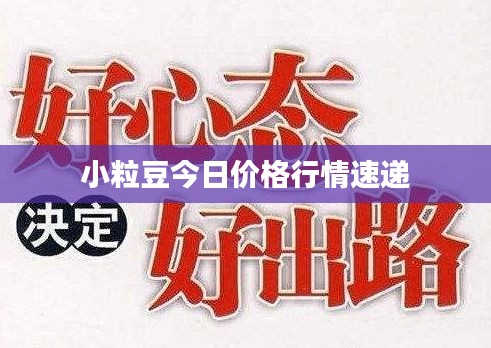 2025年4月19日 第2页
