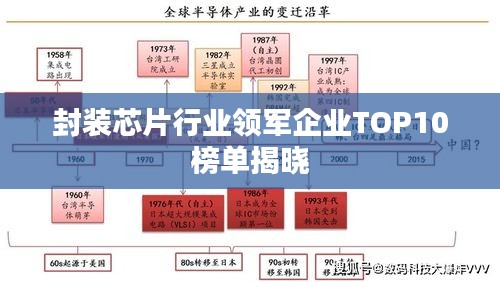 笨鸟先飞