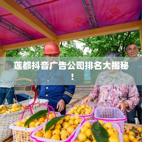 澹泊明志