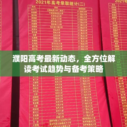 濮阳高考最新动态，全方位解读考试趋势与备考策略