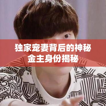 独家宠妻背后的神秘金主身份揭秘