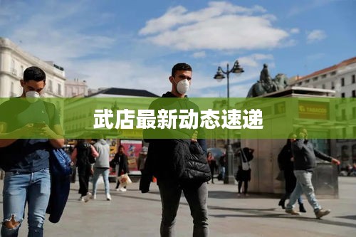 武店最新动态速递