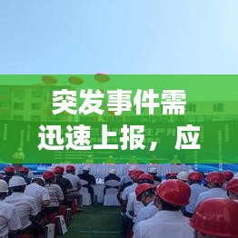 突发事件需迅速上报，应对之策不容延误