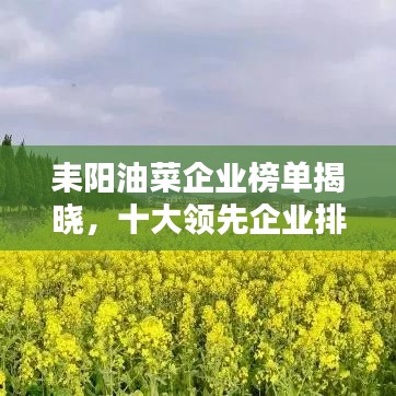 耒阳油菜企业榜单揭晓，十大领先企业排名榜单！