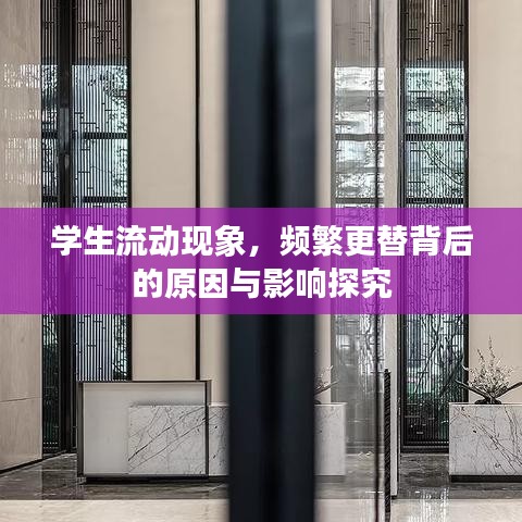 学生流动现象，频繁更替背后的原因与影响探究