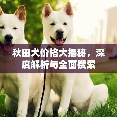 秋田犬价格大揭秘，深度解析与全面搜索