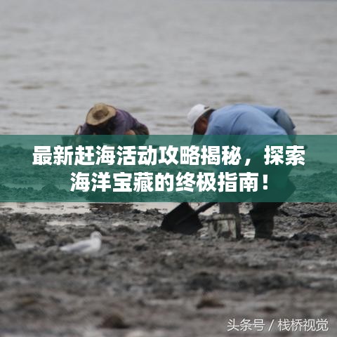 最新赶海活动攻略揭秘，探索海洋宝藏的终极指南！