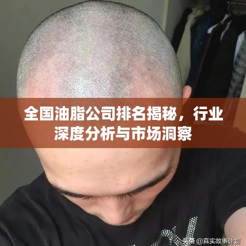全国油脂公司排名揭秘，行业深度分析与市场洞察