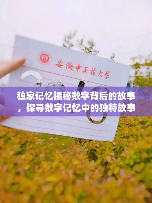 独家记忆揭秘数字背后的故事，探寻数字记忆中的独特故事