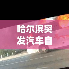 哈尔滨突发汽车自燃事件，惊险瞬间，现场曝光！