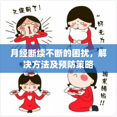 2025年5月24日
