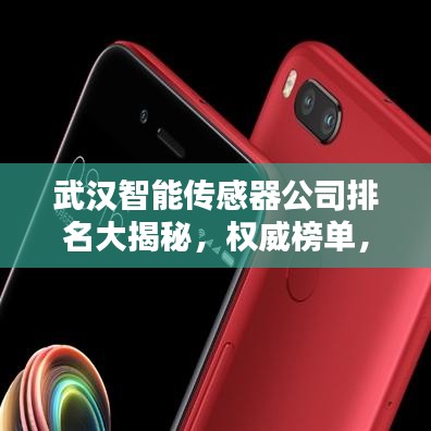 武汉智能传感器公司排名大揭秘，权威榜单，不容错过！