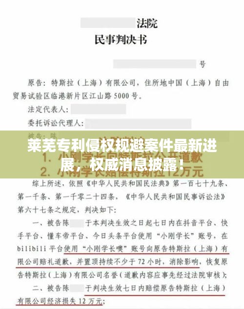 莱芜专利侵权规避案件最新进展，权威消息披露！