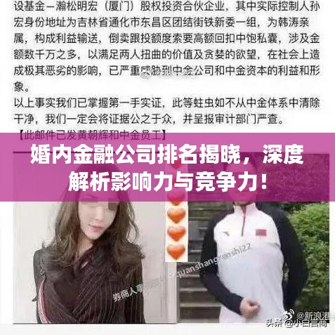 婚内金融公司排名揭晓，深度解析影响力与竞争力！
